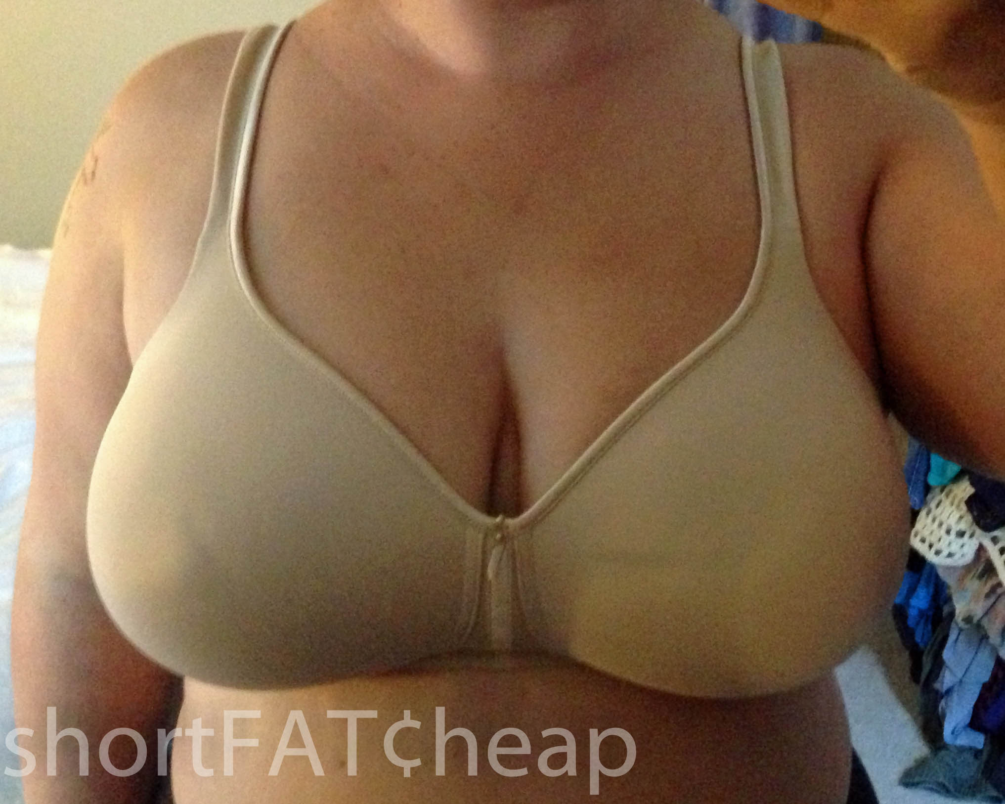 Big Breast Fat 50